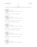 NOVEL MACROMOLECULE TRANSDUCTION DOMAINS AND METHODS FOR IDENTIFICATION     AND USES THEREOF diagram and image