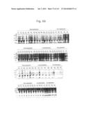 NOVEL MACROMOLECULE TRANSDUCTION DOMAINS AND METHODS FOR IDENTIFICATION     AND USES THEREOF diagram and image