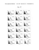 NOVEL MACROMOLECULE TRANSDUCTION DOMAINS AND METHODS FOR IDENTIFICATION     AND USES THEREOF diagram and image