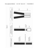 IMMUNOTHERAPY WITH BINDING AGENTS diagram and image