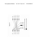 IMMUNOTHERAPY WITH BINDING AGENTS diagram and image