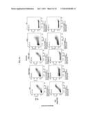 IMMUNOTHERAPY WITH BINDING AGENTS diagram and image