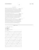 IMMUNOTHERAPY WITH BINDING AGENTS diagram and image