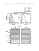 METHODS FOR PREVENTING AND TREATING STAPHYLOCOCCUS AUREUS COLONIZATION,     INFECTION, AND DISEASE diagram and image