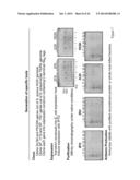 METHODS FOR PREVENTING AND TREATING STAPHYLOCOCCUS AUREUS COLONIZATION,     INFECTION, AND DISEASE diagram and image