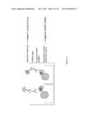 METHODS FOR PREVENTING AND TREATING STAPHYLOCOCCUS AUREUS COLONIZATION,     INFECTION, AND DISEASE diagram and image