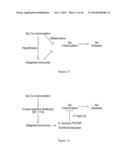 METHODS FOR PREVENTING AND TREATING STAPHYLOCOCCUS AUREUS COLONIZATION,     INFECTION, AND DISEASE diagram and image