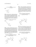 PYRROLIDINE-1,2-DICARBOXAMIDE DERIVATIVES diagram and image