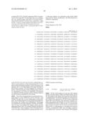 PYRROLIDINE-1,2-DICARBOXAMIDE DERIVATIVES diagram and image