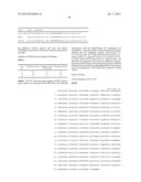 PYRROLIDINE-1,2-DICARBOXAMIDE DERIVATIVES diagram and image