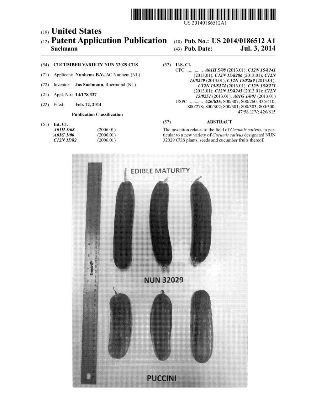Cucumber Variety NUN 32029 CUS - diagram, schematic, and image 01