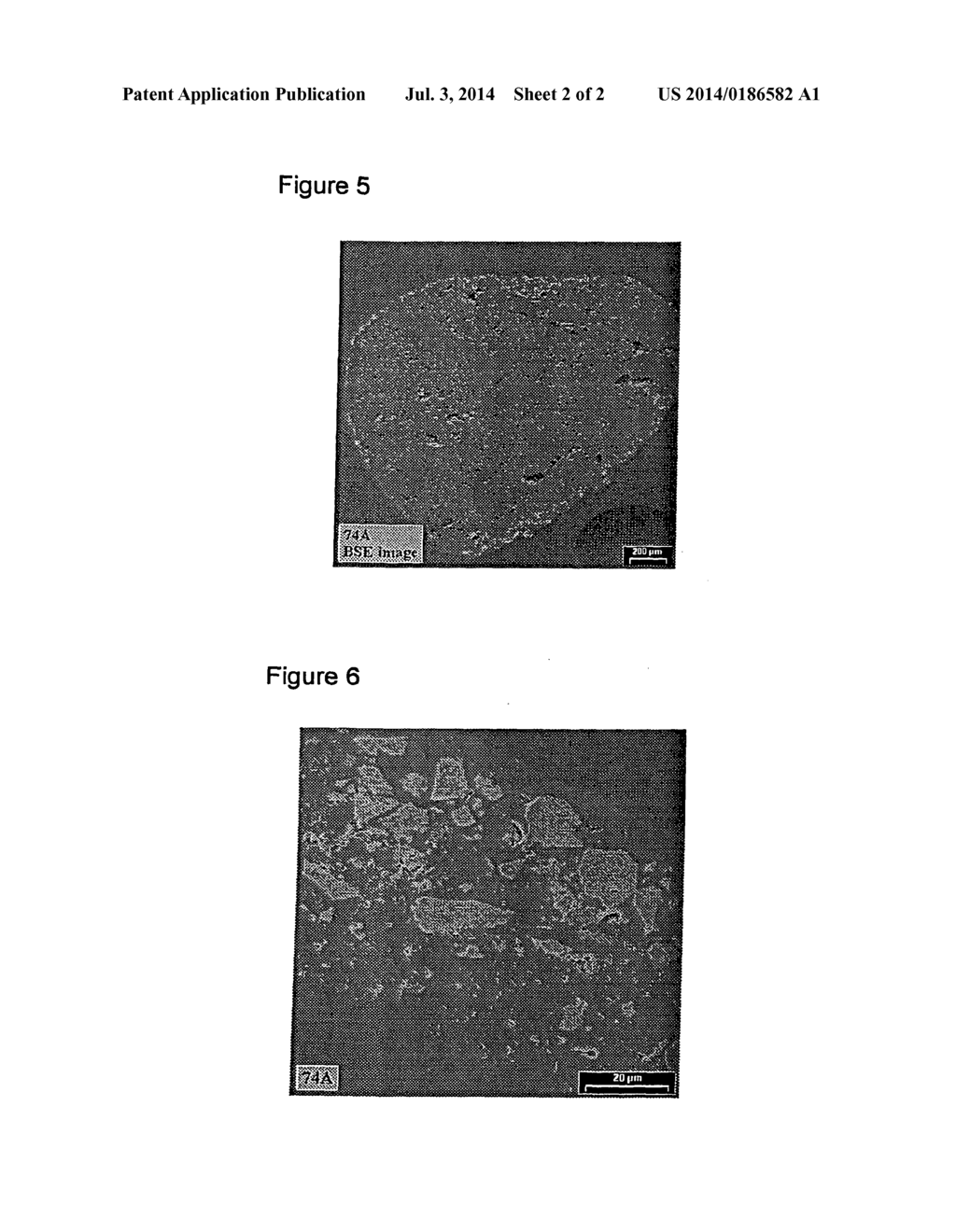 ALGAE RESISTANT ROOFING GRANULES WITH CONTROLLED ALGAECIDE LEACHING RATES,     ALGAE RESISTANT SHINGLES, AND PROCESS FOR PRODUCING SAME - diagram, schematic, and image 03