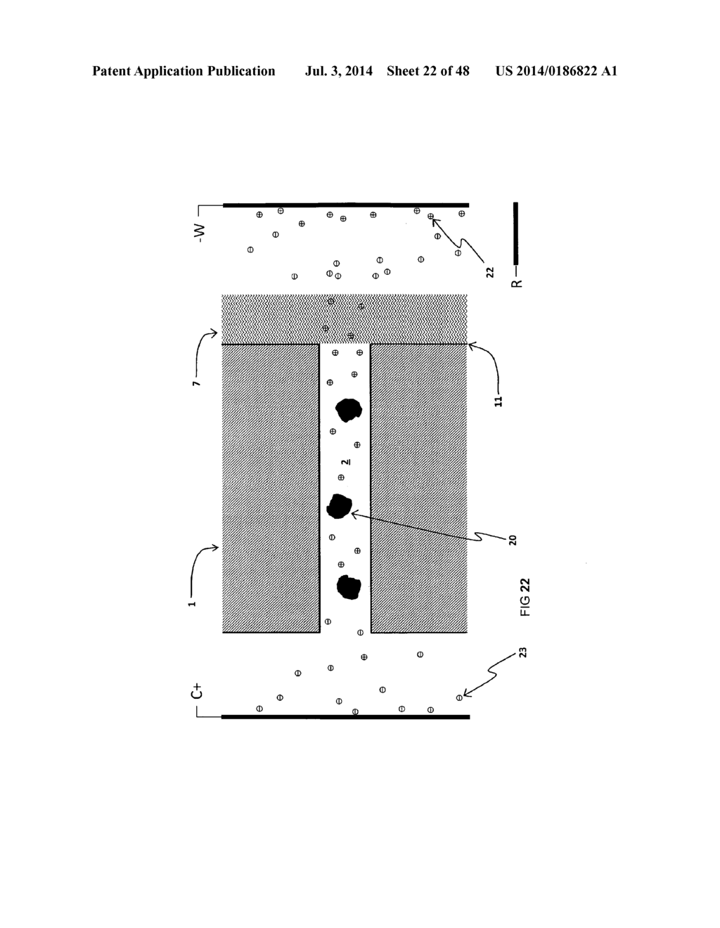 METHODS FOR THE DETECTION OF BIOLOGICALLY RELEVANT MOLECULES AND THEIR     INTERACTION CHARACTERISTICS - diagram, schematic, and image 23