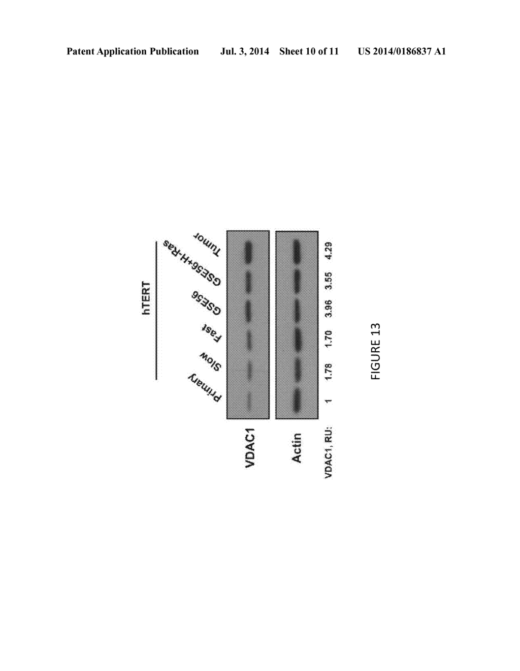 Methods For Diagnosing Cancer - diagram, schematic, and image 11