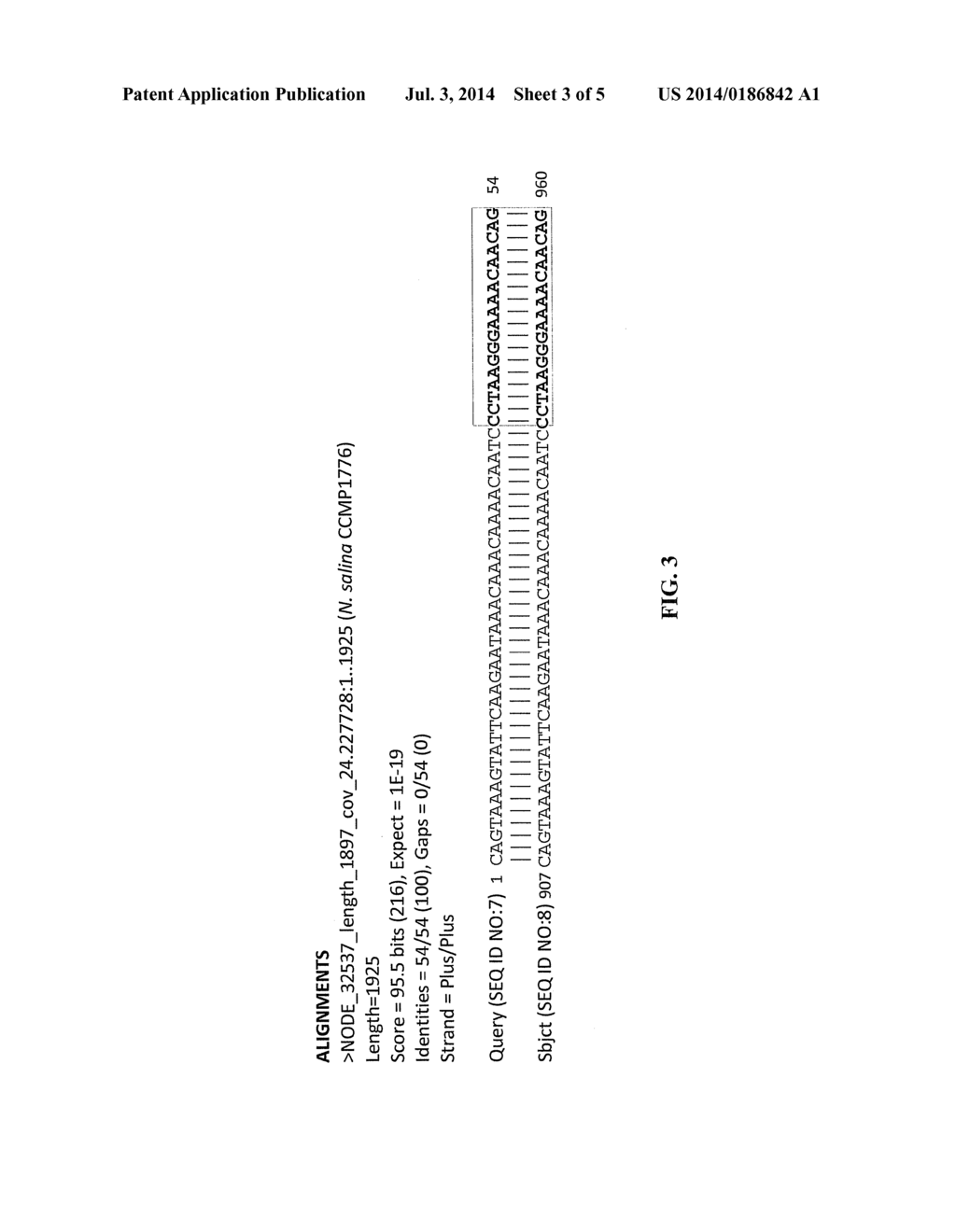 NANNOCHLOROPSIS SPLICED LEADER SEQUENCES AND USES THEREFOR - diagram, schematic, and image 04