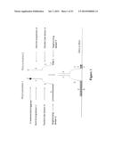 POLYNUCLEOTIDE PRIMERS AND PROBES diagram and image