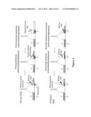 POLYNUCLEOTIDE PRIMERS AND PROBES diagram and image