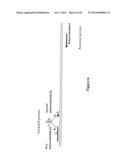 POLYNUCLEOTIDE PRIMERS AND PROBES diagram and image