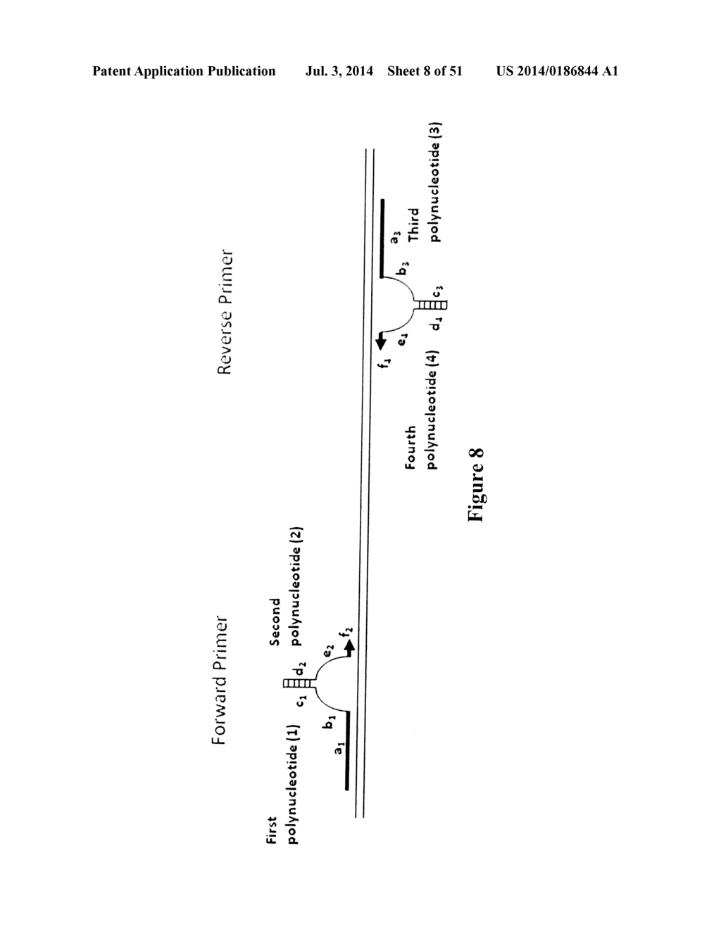 POLYNUCLEOTIDE PRIMERS AND PROBES - diagram, schematic, and image 09