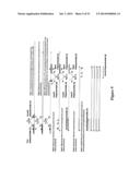 POLYNUCLEOTIDE PRIMERS AND PROBES diagram and image