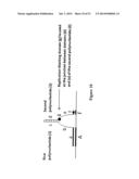 POLYNUCLEOTIDE PRIMERS AND PROBES diagram and image