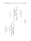 POLYNUCLEOTIDE PRIMERS AND PROBES diagram and image