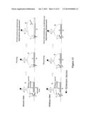 POLYNUCLEOTIDE PRIMERS AND PROBES diagram and image