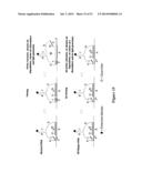 POLYNUCLEOTIDE PRIMERS AND PROBES diagram and image