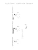 POLYNUCLEOTIDE PRIMERS AND PROBES diagram and image