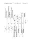 POLYNUCLEOTIDE PRIMERS AND PROBES diagram and image