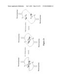 POLYNUCLEOTIDE PRIMERS AND PROBES diagram and image