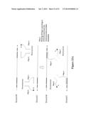 POLYNUCLEOTIDE PRIMERS AND PROBES diagram and image