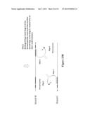 POLYNUCLEOTIDE PRIMERS AND PROBES diagram and image