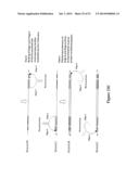 POLYNUCLEOTIDE PRIMERS AND PROBES diagram and image