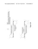 POLYNUCLEOTIDE PRIMERS AND PROBES diagram and image