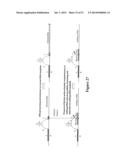 POLYNUCLEOTIDE PRIMERS AND PROBES diagram and image