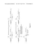 POLYNUCLEOTIDE PRIMERS AND PROBES diagram and image