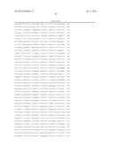 POLYNUCLEOTIDE PRIMERS AND PROBES diagram and image