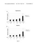 METHODS FOR DETERMINING THE EXPRESSION LEVEL OF A GENE OF INTEREST     INCLUDING CORRECTION OF RT-QPCR DATA FOR GENOMIC DNA-DERIVED SIGNALS diagram and image