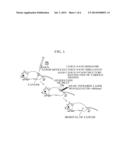 METHOD OF ANALYZING BINDING EFFICIENCY OF ADHESIVE NANOPARTICLES diagram and image