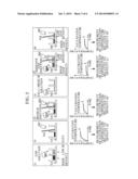 METHOD OF ANALYZING BINDING EFFICIENCY OF ADHESIVE NANOPARTICLES diagram and image