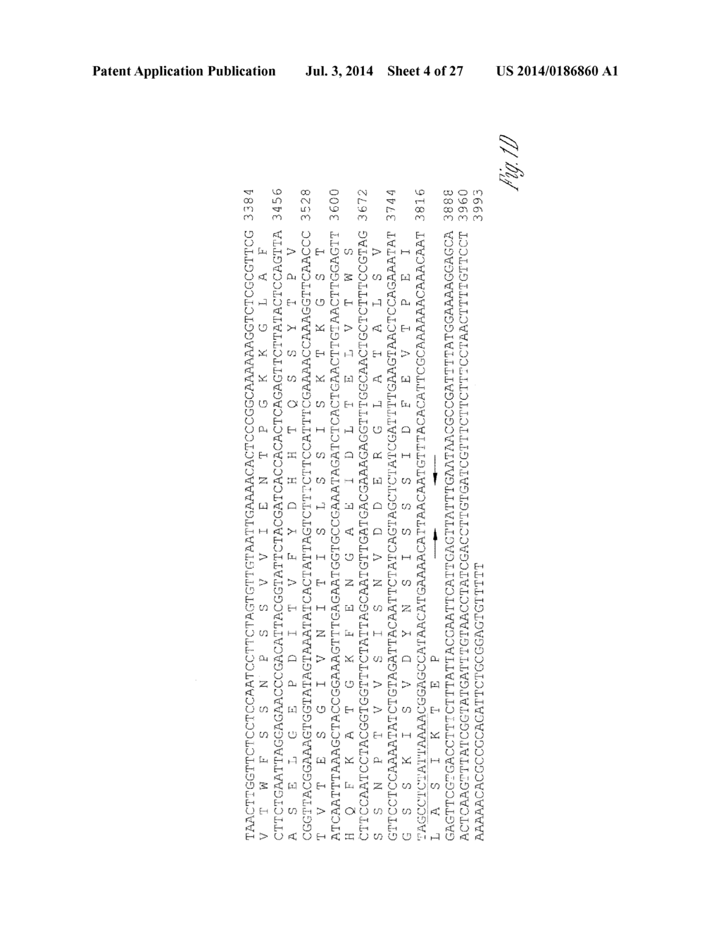 NOVEL IMMUNOGENIC PROTEINS OF LEPTOSPIRA - diagram, schematic, and image 05