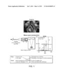 IN VIVO PROTEOMICS diagram and image