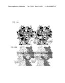 COMPOSITIONS AND METHODS FOR OPTIMIZING DRUG HYDROPHOBICITY AND DRUG     DELIVERY TO CELLS diagram and image