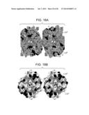 COMPOSITIONS AND METHODS FOR OPTIMIZING DRUG HYDROPHOBICITY AND DRUG     DELIVERY TO CELLS diagram and image