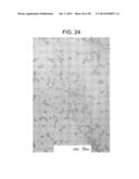 COMPOSITIONS AND METHODS FOR OPTIMIZING DRUG HYDROPHOBICITY AND DRUG     DELIVERY TO CELLS diagram and image