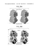 COMPOSITIONS AND METHODS FOR OPTIMIZING DRUG HYDROPHOBICITY AND DRUG     DELIVERY TO CELLS diagram and image