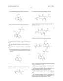 SYNTHESIS AND USE OF ISOTOPICALLY LABELED MACROCYCLIC COMPOUNDS diagram and image