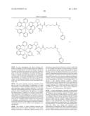 NOVEL OPTICAL LABELING MOLECULES FOR PROTEOMICS AND OTHER BIOLOGICAL     ANALYSIS diagram and image