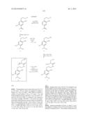 NOVEL OPTICAL LABELING MOLECULES FOR PROTEOMICS AND OTHER BIOLOGICAL     ANALYSIS diagram and image